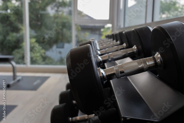 Fototapeta Close-Up of Dumbbells in a Modern Gym with Natural Light and Greenery Outside