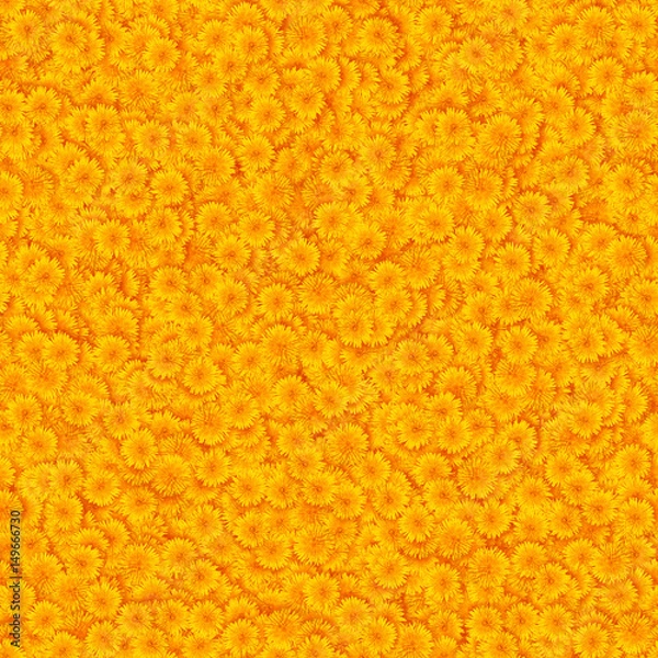 Fototapeta Dandelions tile texture
