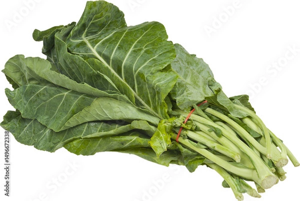 Obraz Collard Isolated From Background
