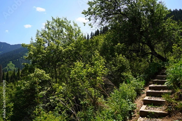 Fototapeta Stairs for tourists to climb and descend. Aksai gorge. Mountainous area with different vegetation.