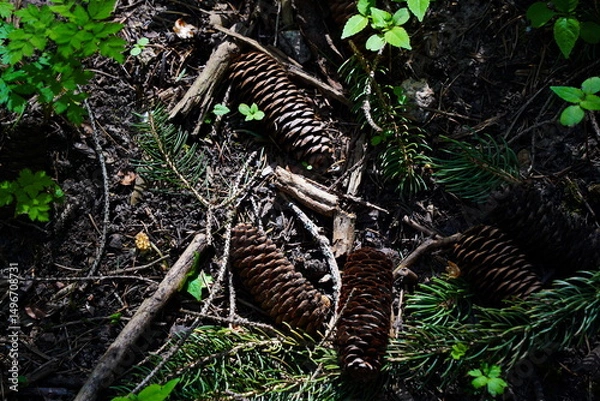 Fototapeta Bumps on the ground in the mountains. Aksai gorge. Mountainous area with different vegetation. The Tian Shan Mountains.