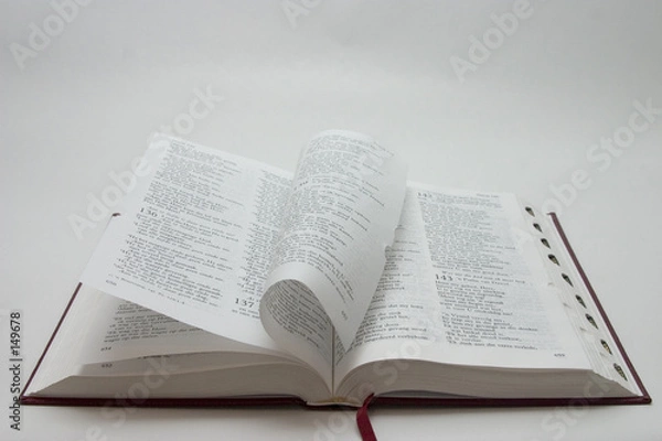 Obraz bible pages