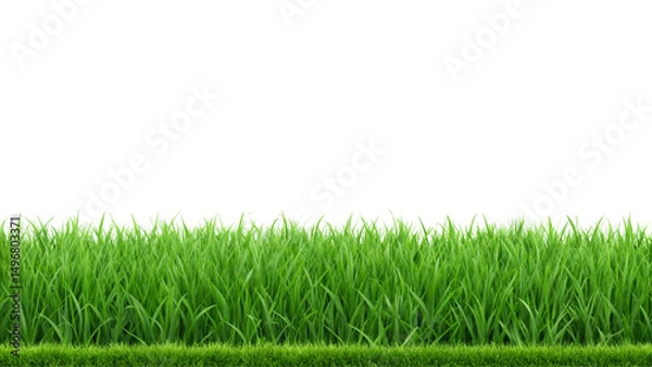Fototapeta Vibrant Green Grass Isolated on Transparent Background Perfect for Natural, Eco, and Creative Design Applications.