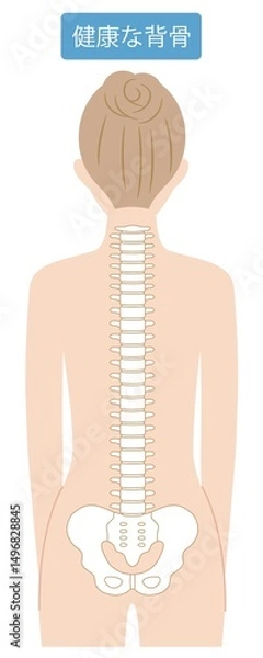 Obraz 女性　健康な背骨