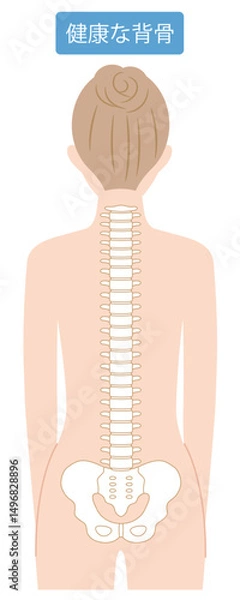 Obraz 女性　健康な背骨
