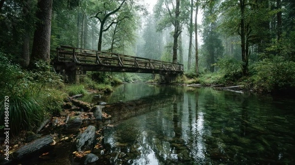 Obraz Misty forest bridge reflecting in calm river