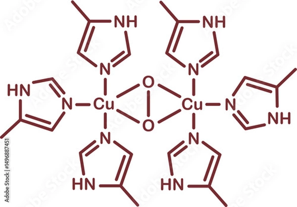 Fototapeta Chemical structure of haemocyanin