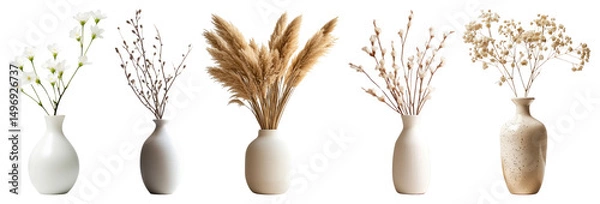 Fototapeta PNG Elegant vases with dried flowers, element set on transparent background