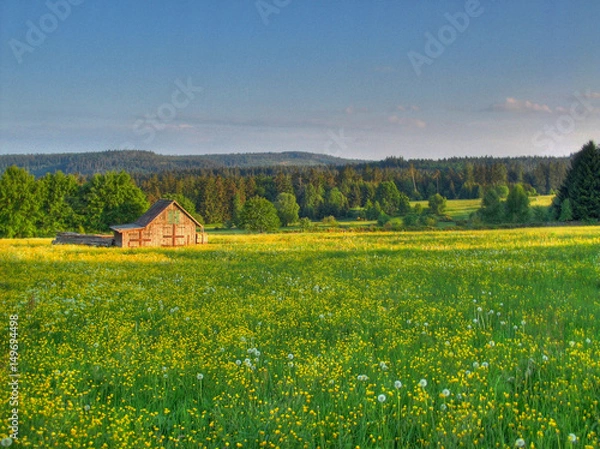 Fototapeta Albrechthütte 8