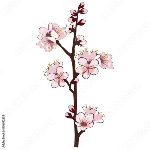 Obraz Spring Sakura cherry blooming flowers branch element