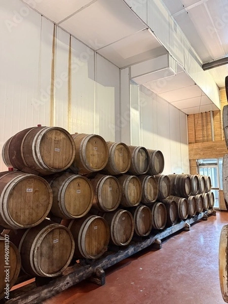 Obraz barrels of wine