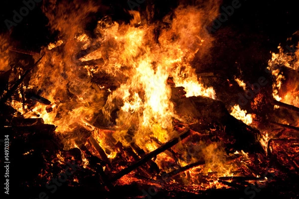 Obraz Winteraustreibung