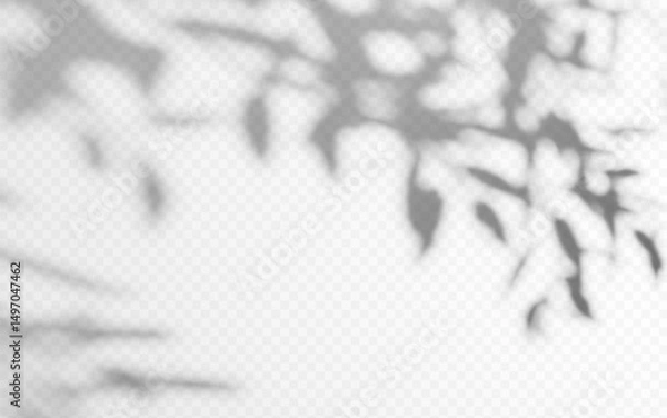 Obraz Shadow overlay from a tree branch isolated on a transparent background.