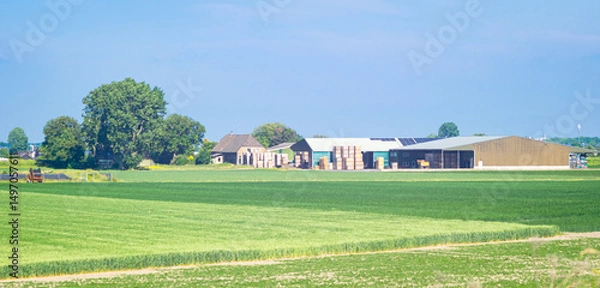 Obraz Scenic panoramic view of a farm in the Netherlands