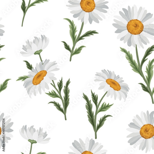 Obraz Seamless pattern with chamomile flowers on white background. Vector illustration of daisy flowers.