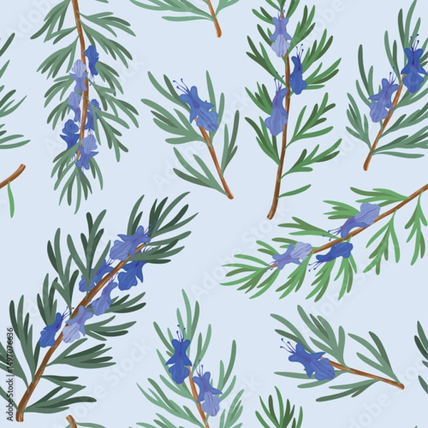 Obraz rosemary seamless pattern, on a blue background, rosemary plant and flowers, drawing clipart, Vector Illustration