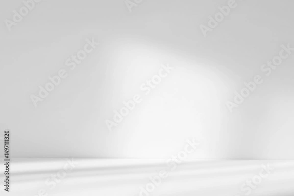 Fototapeta Abstract white studio background with shadows of window. Empty 3d gray room with copy space. Display product with blurred backdrop.