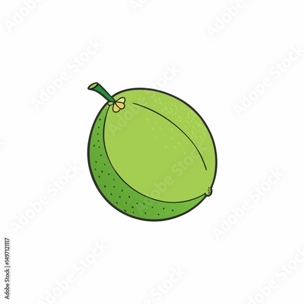 Obraz green apple isolated on white background