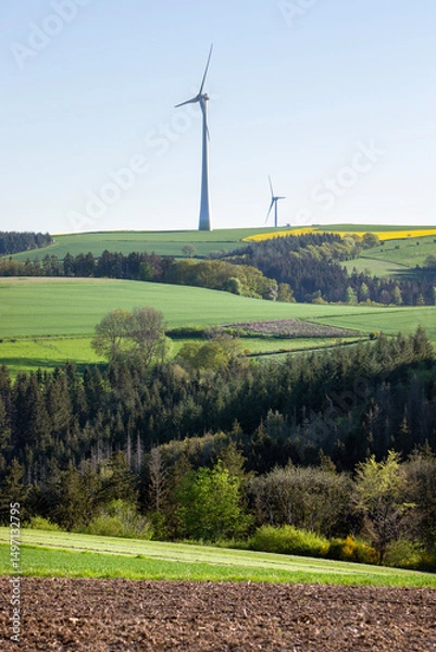 Fototapeta fresh spring colors on trees and fields in german nature park suedeifel under blue sky