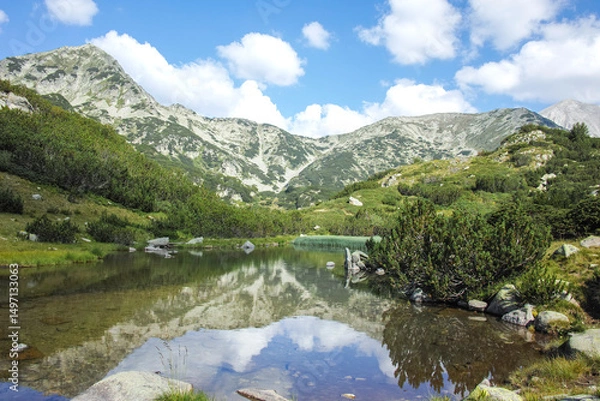 Fototapeta Pirin Mountain near Banderitsa Area, Bulgaria