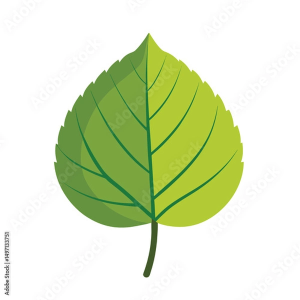 Fototapeta Leaf vector illustration. Green leaves isolated on white. green leaves on white background . Collection of linden leaf logo, icon vector design.