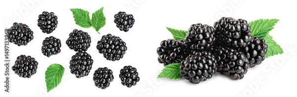 Fototapeta blackberry isolated on a white background closeup. Clipping path and full depth of field. Top view. Flat lay