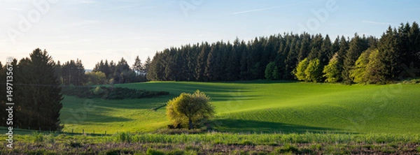 Fototapeta fresh spring colors on trees and fields in german nature park suedeifel under blue sky
