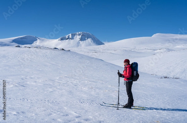 Fototapeta Woman enjoying a beautiful day cross-country skiing the Sylarna mountainrange. Sweden.
