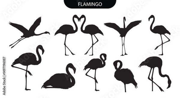 Fototapeta Flamingo silhouette. Set of black flamingo bird vector silhouettes in various standing, flying, and curved neck poses for tropical wildlife themes