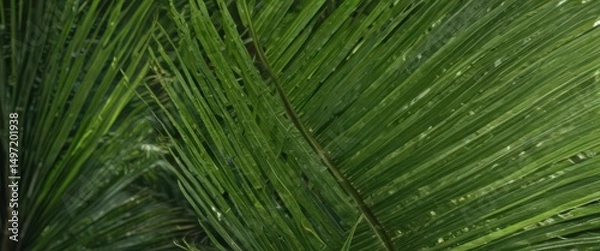 Obraz Intricate veins of a lush green palm leaf, sharp focus ,  natural,  lush