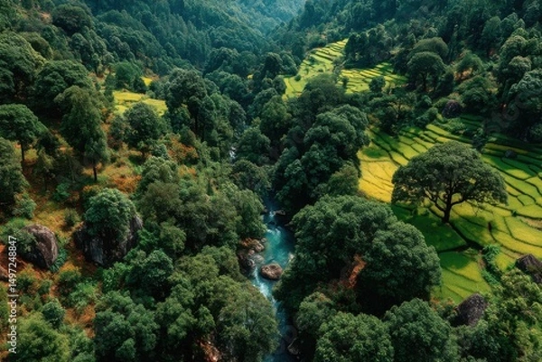 Obraz Aerial view of the green summer trees and river 
