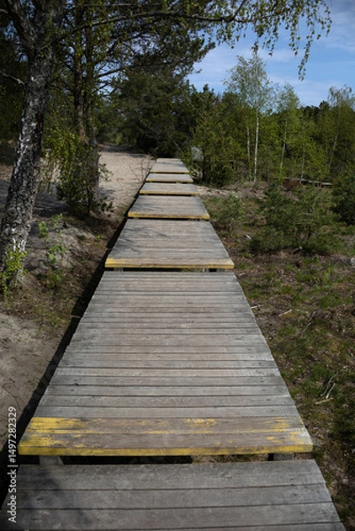 Fototapeta A quiet wooden path winds through a pine forest, drawing the eye toward the soft green horizon. Nature and structure merge in this peaceful, moody woodland scene.