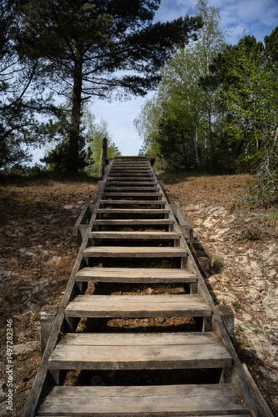 Fototapeta Sunlight hits the wooden stairs leading up through a forest clearing, inviting you to climb toward the sky. A peaceful escape framed by pines and spring-green leaves.