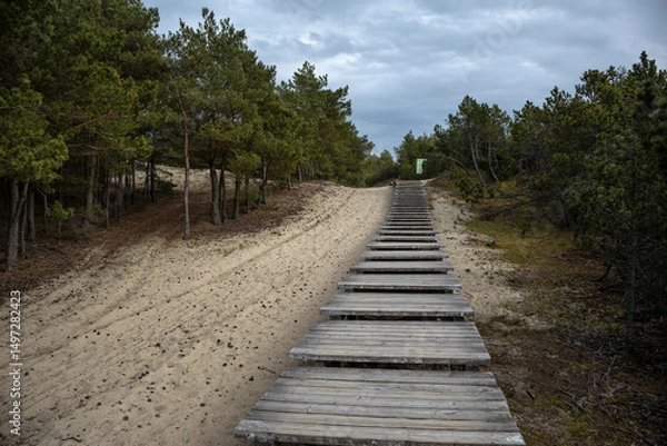 Fototapeta A quiet wooden path winds through a pine forest, drawing the eye toward the soft green horizon. Nature and structure merge in this peaceful, moody woodland scene.