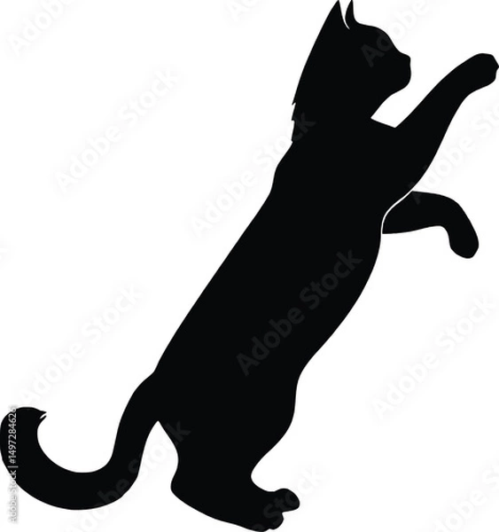 Fototapeta Black silhouette of a playful cat standing on its hind legs with front paws raised, as if reaching or playing.  Perfect for use in pet-themed graphics, logo design, minimalist art