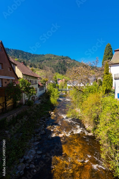 Fototapeta Der kleine Nebenfluss Gutach wie er druch den Ort Hornberg im Schwarzwald fließt