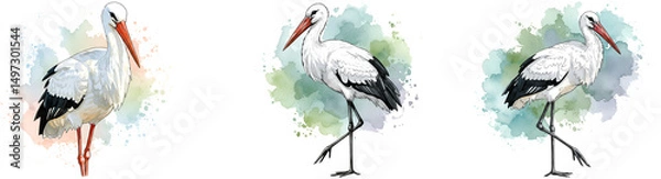 Obraz Three storks standing in different poses against a watercolor style splash of color design element on transparent background
