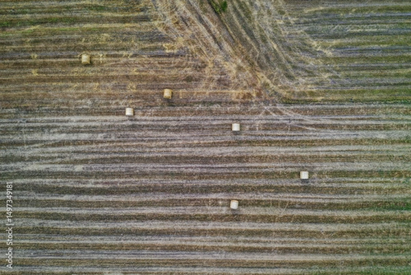 Fototapeta Stubble field in Mazowsze region of Poland