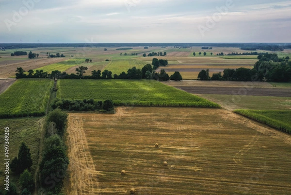 Fototapeta Field in Mazowsze region, Poland
