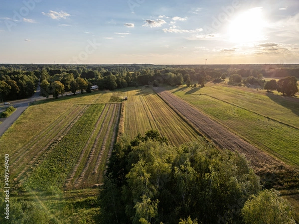 Fototapeta Aerial view of fields in Gmina Lochow, Mazowieckie region of Poland