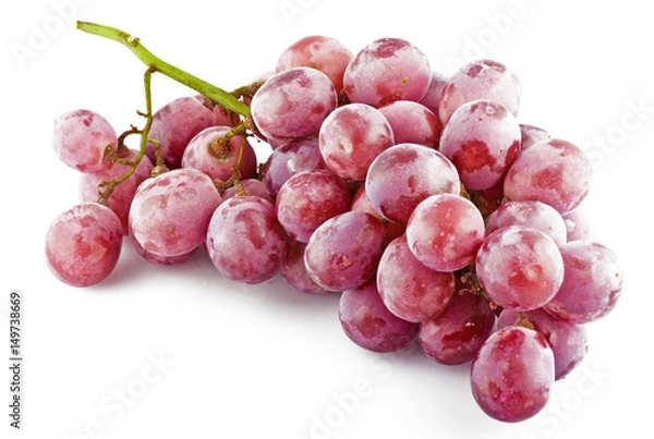 Obraz fresh pink grapes with drops close up