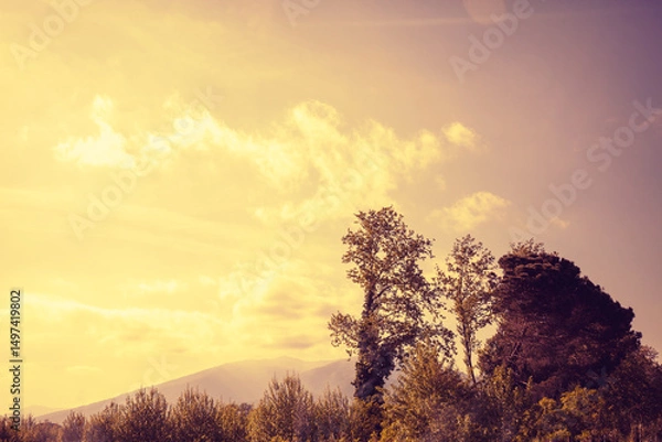 Obraz Mountain landscape background during sunset. Trees against mountains and sunset sky