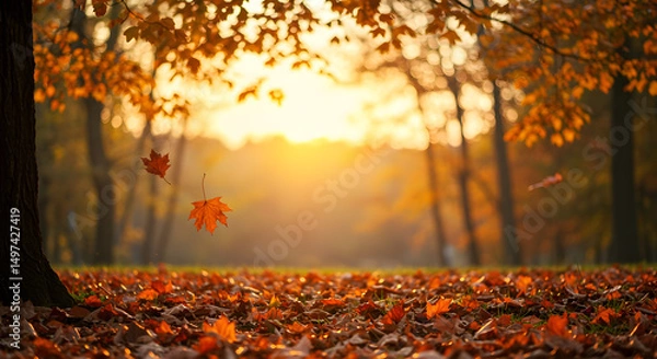 Obraz Sunlit Autumn Forest