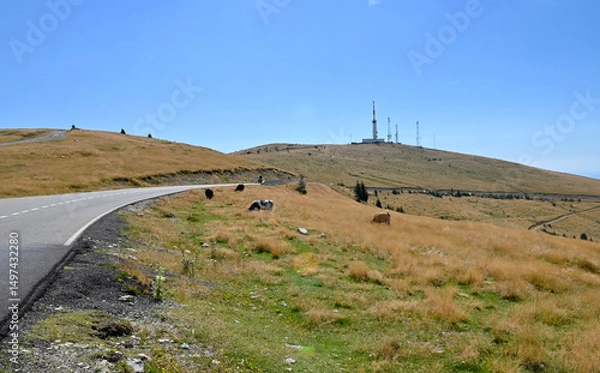 Obraz Transalpina landscape