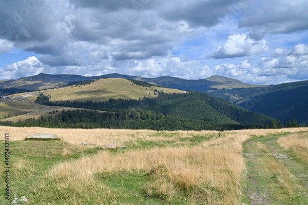 Obraz Transalpina landscape
