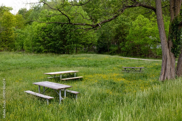 Obraz bench in the park