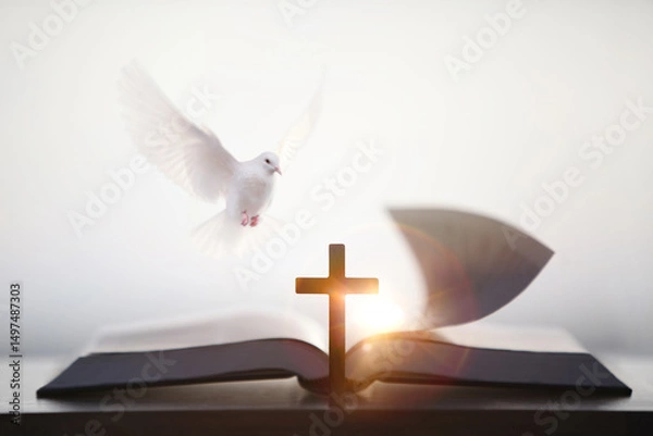 Obraz The cross of Jesus Christ's suffering and the Bible of the Word of Life, the white dove of the Holy Spirit and bright sunlight background
