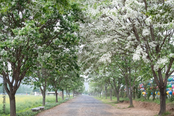 Obraz Generated image