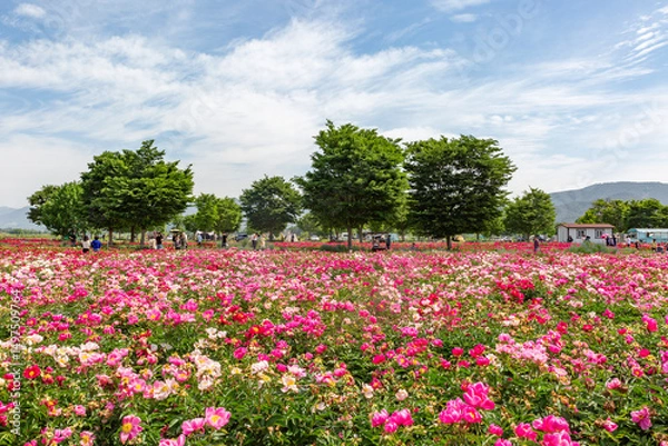 Obraz Generated image