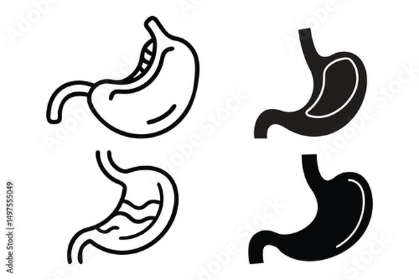 Fototapeta Black and white stomach icons display different digestive system anatomical views on white background